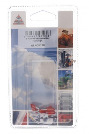 FUSIBLE MINI LAME 30A (BLx5)