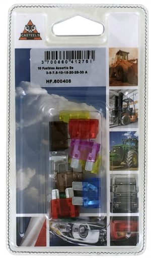 FUSIBLE STANDARD PANACHE 3A A 30A (BLx10)