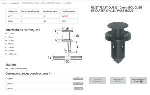 AGRAFE PLASTIQUE (sachet de 10pcs)