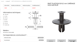 AGRAFE PLASTIQUE (sachet de 6 pcs)