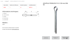 GOUPILLE FENDUE 10X100 (boite de 25 pcs)