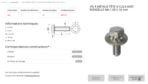 VIS A METAUX 6X16 (sachet de 35 pcs)