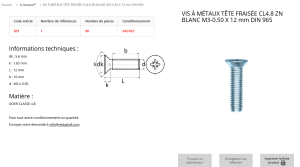 VIS A METAUX TF 3X12 (sachet de 90 pcs)