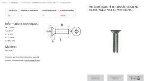 VIS A METAUX TF 4X16 (sachet de 75 pcs)