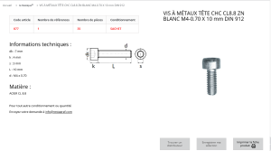 VIS A METAUX 6 PANS 4X10 (sachet de 35 pcs)