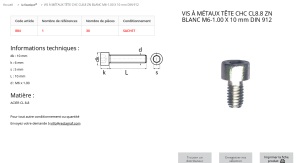VIS A METAUX 6X10 (sachet de 30 pcs)