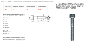 VIS A METAUX TCCH 6X40 (sachet de 20 pcs)