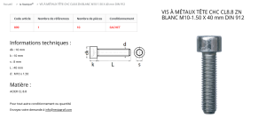 VIS A METAUX TCCH 10X40 (sachet de 10 pcs)