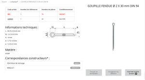 GOUPILLE FENDUE AC Z 2X30 (sachet de 75  pcs)