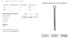 GOUPILLE FENDUE 6X70 (sachet de 15 pcs)