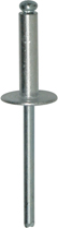 RIVET  5X21 (sachet de 41 pcs)