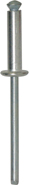 RIVET EPANOUI 4.X8 (sachet de 75 pcs)