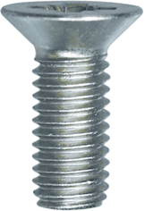 VIS A METAUX 8X20 (sachet de 20 pcs)