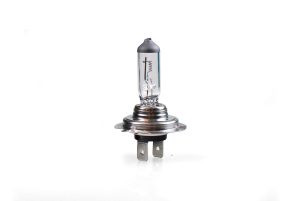 H7 24V 70W HALOGENE Px26d x1