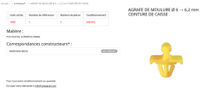 AGRAFE PLASTIQUE (sachet de 5 pcs) [30]