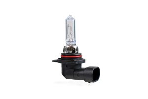 12V 55W PX22D HIR2 x1